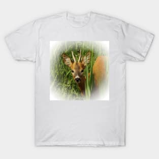 Young roe deer T-Shirt